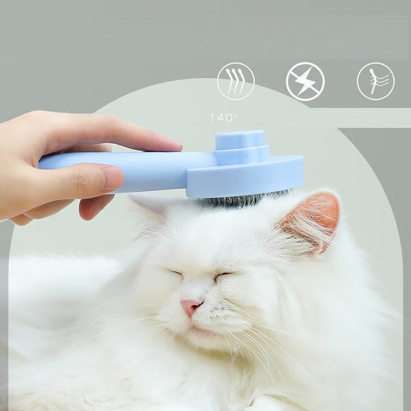 Hair Removal Brush